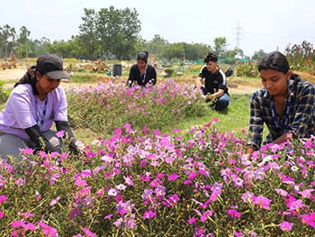 LPU Therapeutic garden 