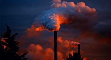 Two LPU students developed ‘Bio Air Purifier’ to combat pollution