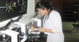 libraries-laboratories