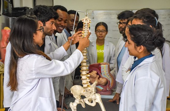 libraries-laboratories