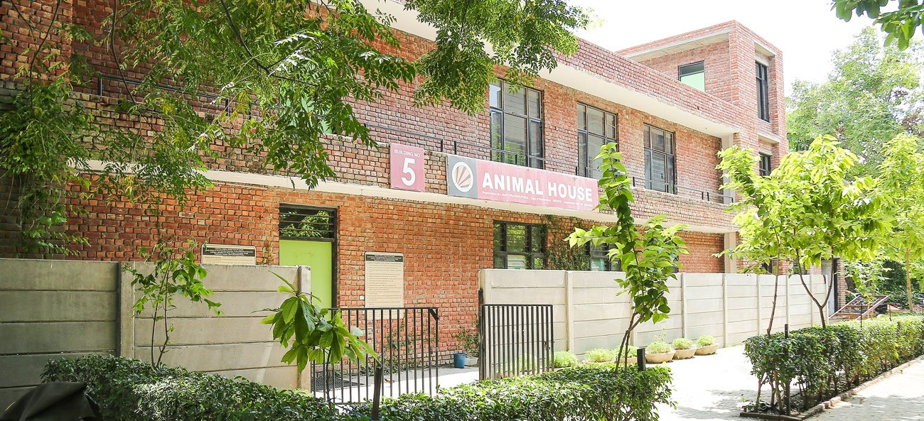 The Animal House LPU